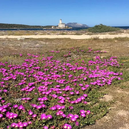 Sole * Olbia